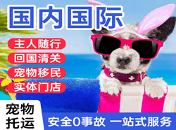 吕梁航空空运国际宠物托运 【国